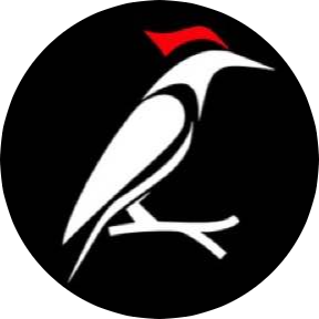 Каркасные, дачные и садовые дома, беседки со скидкой до 11% от студии "BestWood"